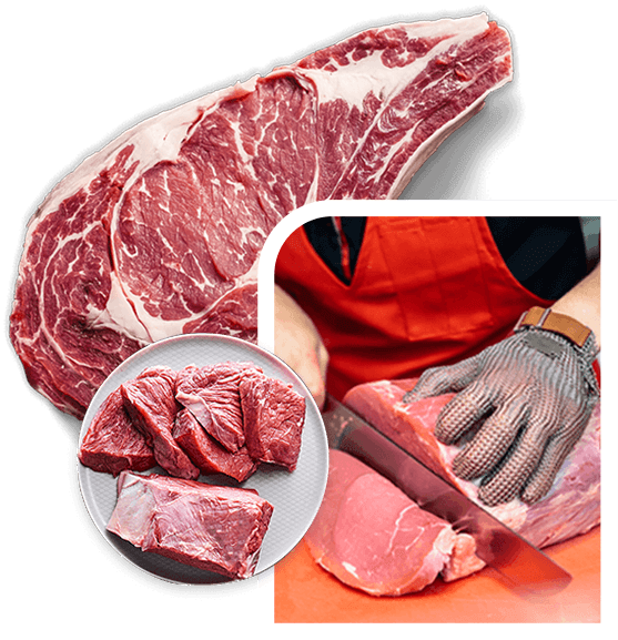 ترکیب محصولات میت پلاس